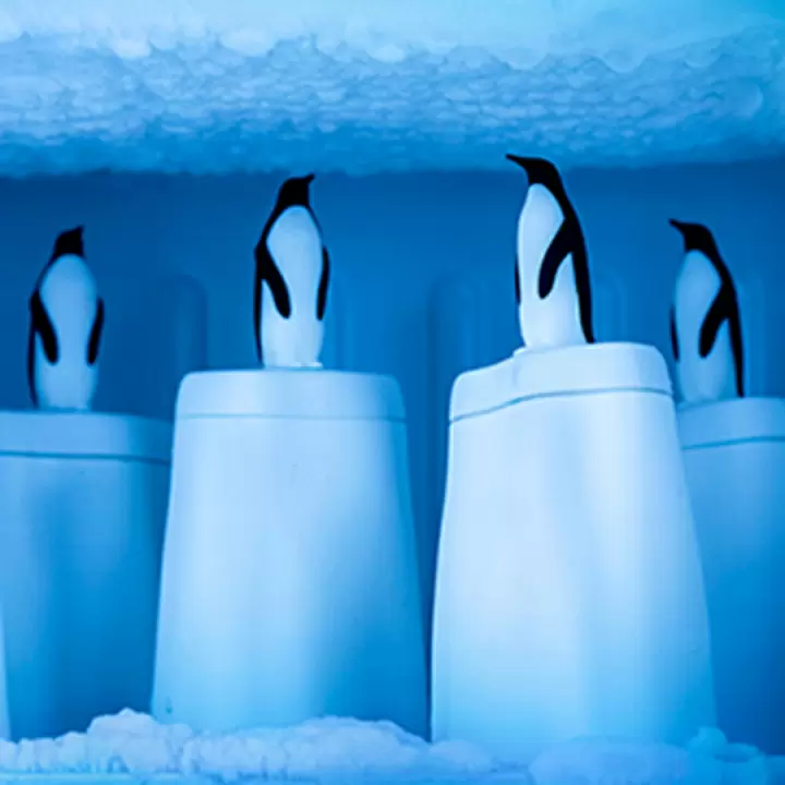 Форма для мороженого QUALY Penguin on ice