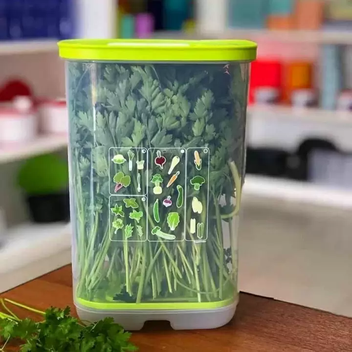 Умный холодильник 3,2 литра высокий для зелени
