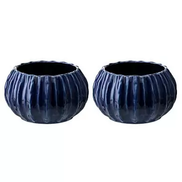 Набор из 2 салатников actinia синего цвета из коллекции sea treasures, 640 мл