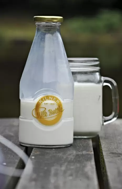 Бутылка для молока 568 мл