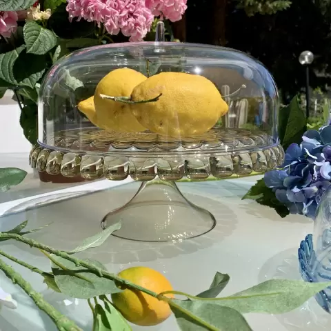 Тортовница Guzzini Tiffany S