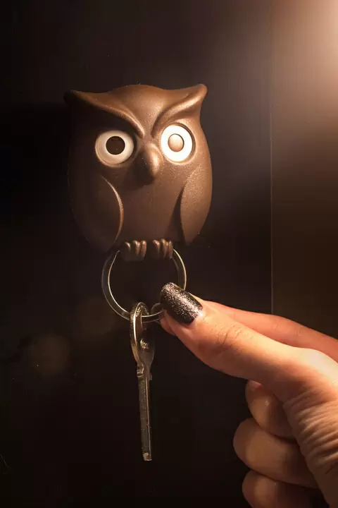 Держатель для ключей Qualy Night Owl, коричневый