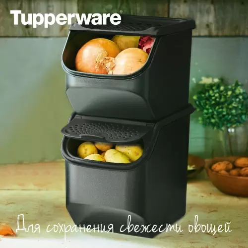 Контейнер для хранения овощей Tupperware (3 л)