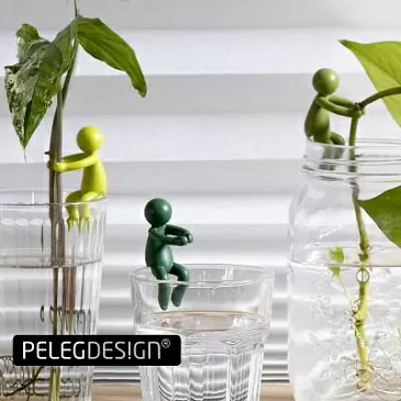 Держатель для ростков Peleg Design Leafriend, набор 3 шт — аксессуар для размножения растений в вазе и горшке
