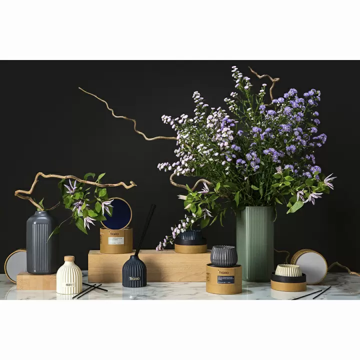 Диффузор ароматический cypress, jasmine & patchouli из коллекции edge, 200 мл, тёмно-синий