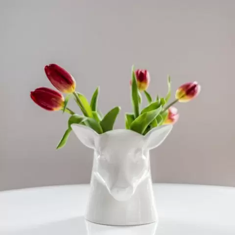 Органайзер для кухни Stag
