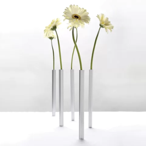 Набор ваз магнитных Peleg Design Magnetic Vase, 5 шт, серебристый