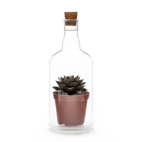 Декоративная бутылка Peleg Design Impossible Bottle