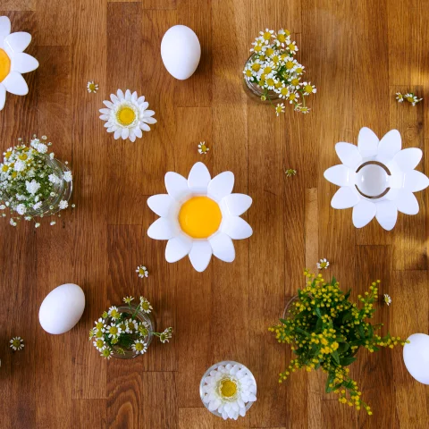 Отделитель желтка и белка Peleg Design Daisy