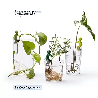 Держатель для ростков Peleg Design Leafriend, набор 3 шт — аксессуар для размножения растений в вазе и горшке