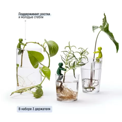 Держатель для ростков Peleg Design Leafriend, набор 3 шт — аксессуар для размножения растений в вазе и горшке
