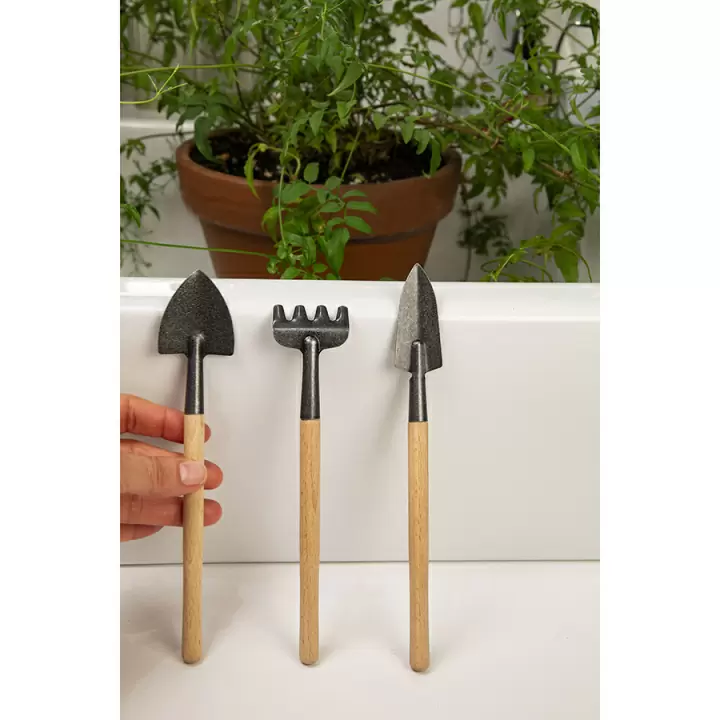 Набор инструментов для декоративных растений mini garden 3 предмета
