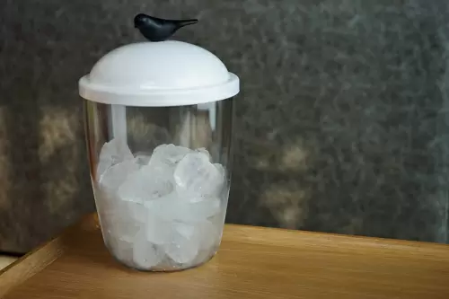 Емкость для льда Qualy Sparrow, белая с черным