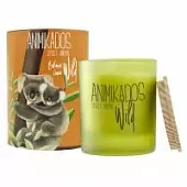 Свеча ароматическая Ambientair Wild Koala, Бальзамические листья, 40 ч. Товар уцененный