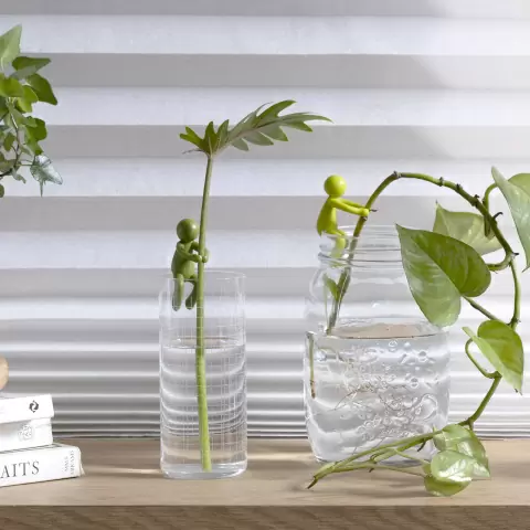 Держатель для ростков Peleg Design Leafriend, набор 3 шт — аксессуар для размножения растений в вазе и горшке