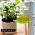 Воронка для полива растений Peleg Design Leaflow, 3 шт