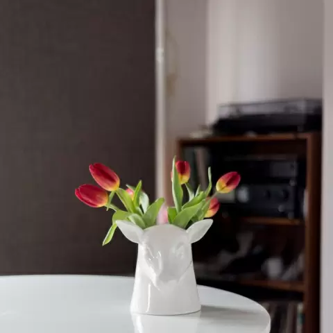 Органайзер для кухни Stag
