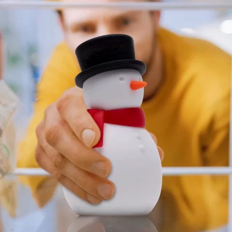 Поглотитель запаха в холодильнике Peleg Design Freezy