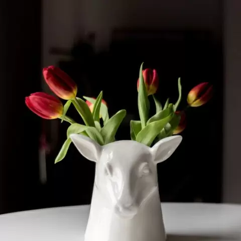 Органайзер для кухни Stag