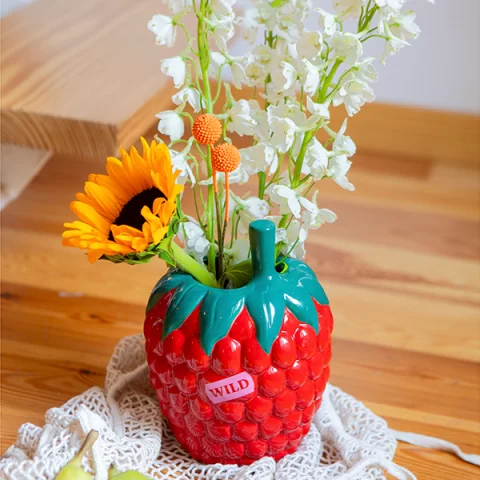 Ваза для цветов DOIY Raspberry, 20 см