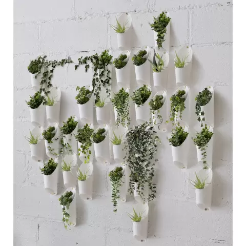 Органайзер настенный Umbra Floralink