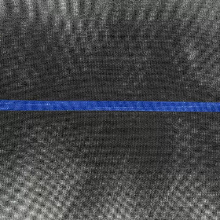 Чехол на подушку из хлопка из коллекции slow motion, electric blue, 45х45 см