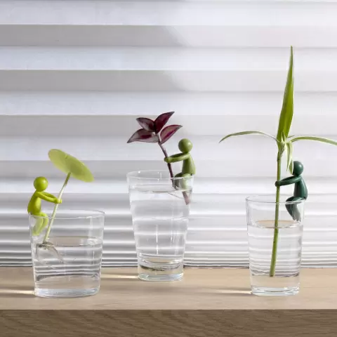 Держатель для ростков Peleg Design Leafriend, набор 3 шт — аксессуар для размножения растений в вазе и горшке