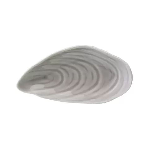 Набор для сервировки oyster shell серого цвета из коллекции sea treasures