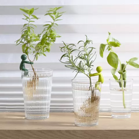 Держатель для ростков Peleg Design Leafriend, набор 3 шт — аксессуар для размножения растений в вазе и горшке