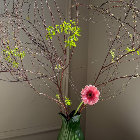 Ваза petal зеленого цвета из коллекции blossom, 22 см