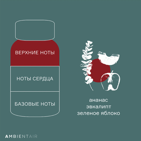 Диффузор ароматический Ambientair Gifting Корица и яблоко, 100 мл