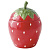 Банка для хранения jardin des fraises, D13х18 см