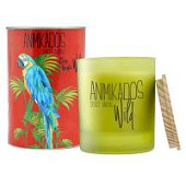 Свеча ароматическая Ambientair Parrot - цитрусовый Wild (40 часов)