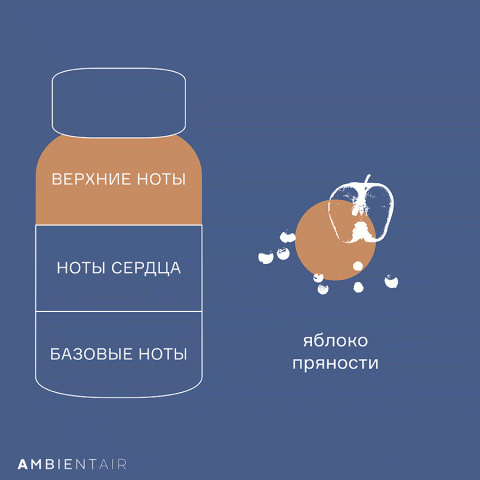 Диффузор ароматический Ambientair Gifting Карамель и яблоко, 100 мл