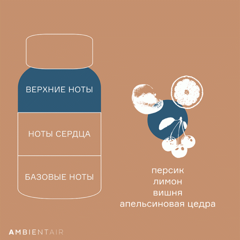 Диффузор ароматический Ambientair Gifting Печенье и ягоды, 100 мл