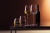 Набор бокалов для белого вина LSA International Wine Culture 490 мл, 2 шт
