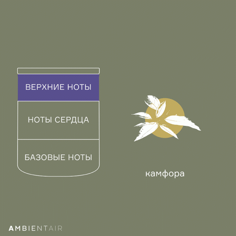 Свеча ароматическая Ambientair Enchanted Forest, Eль, 40 ч