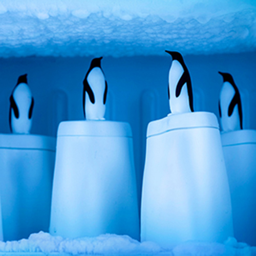 Форма для мороженого penguin on ice