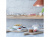 Блюдо сервировочное со стеклянным куполом LSA International Paddle
