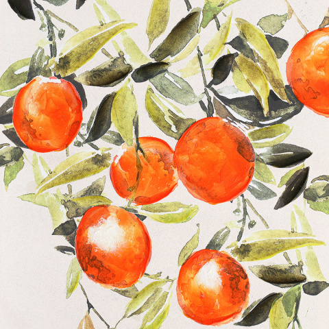 Панно декоративное juicy orange, 70х100 см