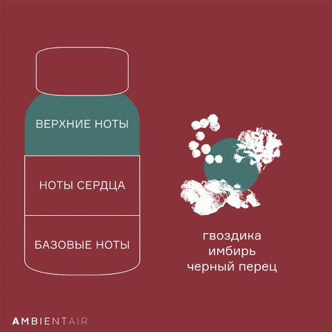 Диффузор ароматический Ambientair Gifting Имбирное печенье, 100 мл